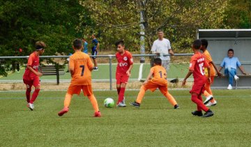 U11-Sieg U11-Sieg